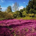 Frühling in Hannover/Berggarten