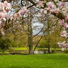 Frühling in Harsefeld