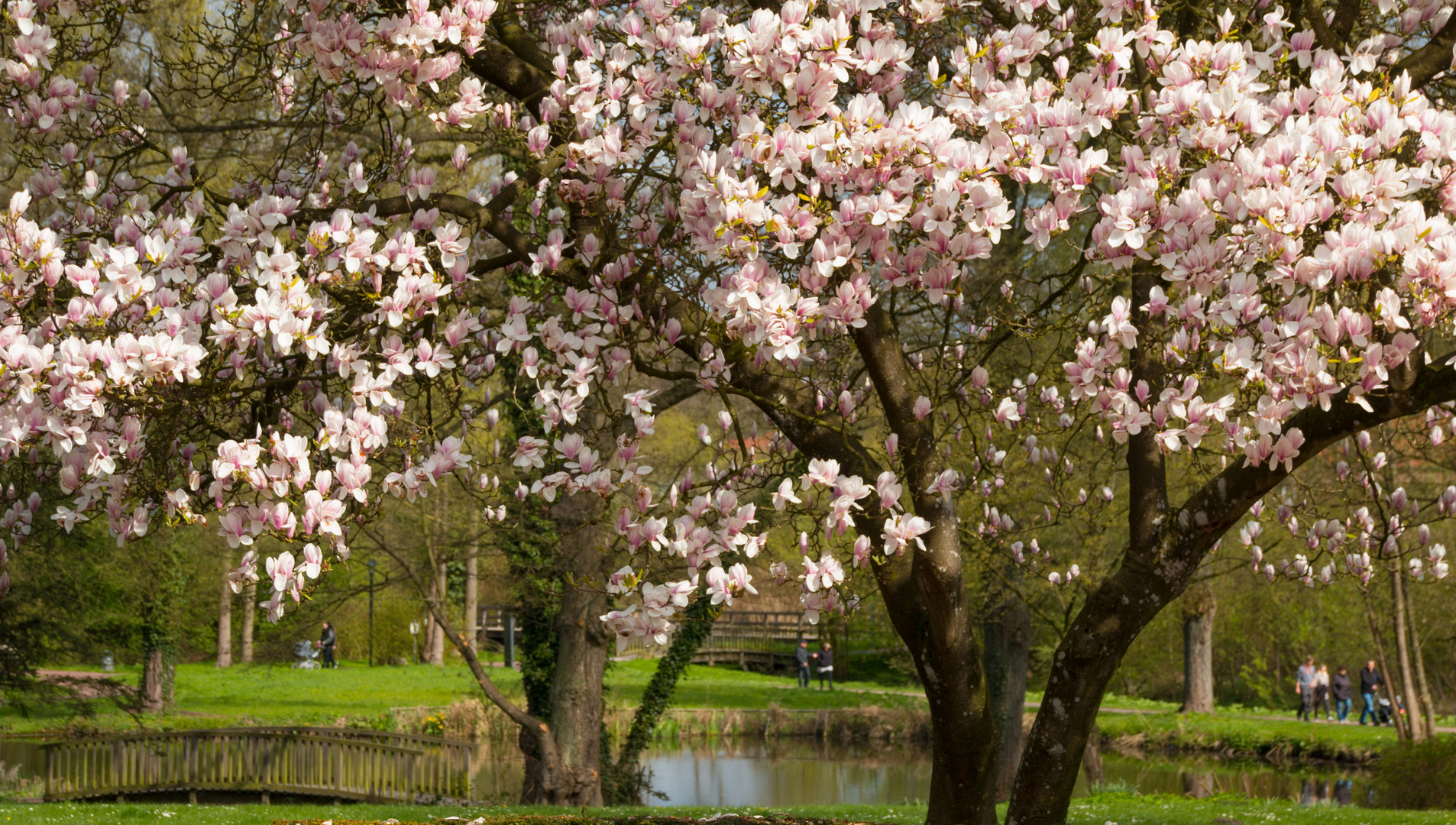 Frühling in Harsefeld