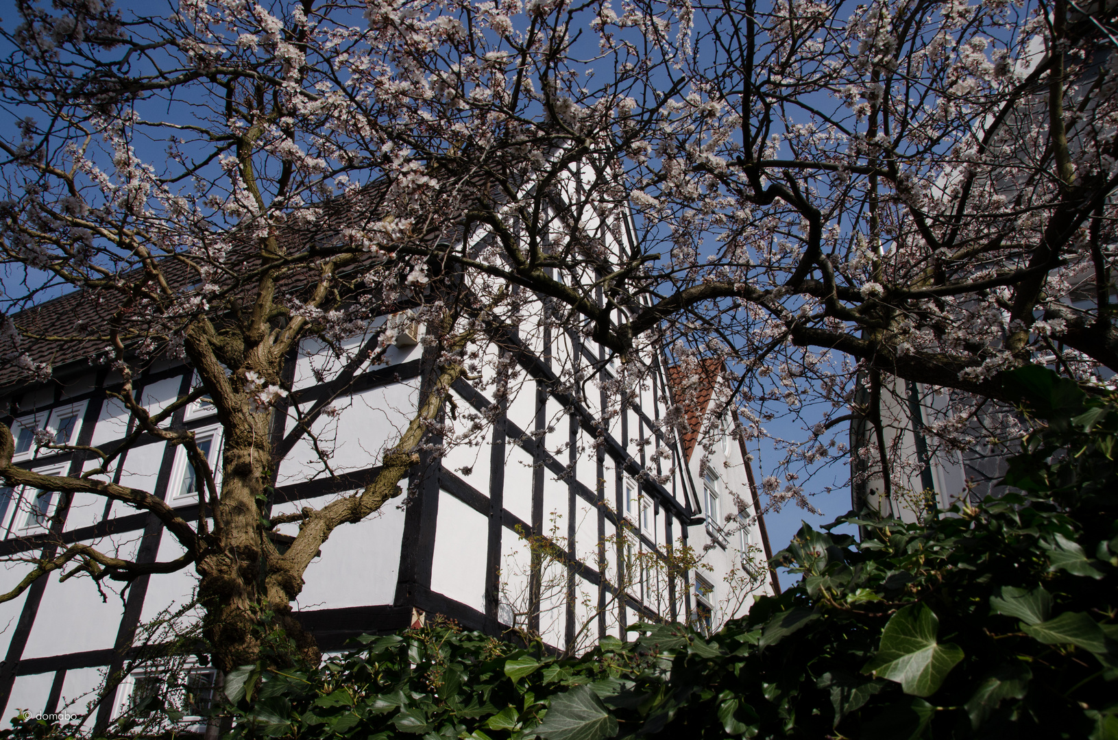 Frühling in Hattingen