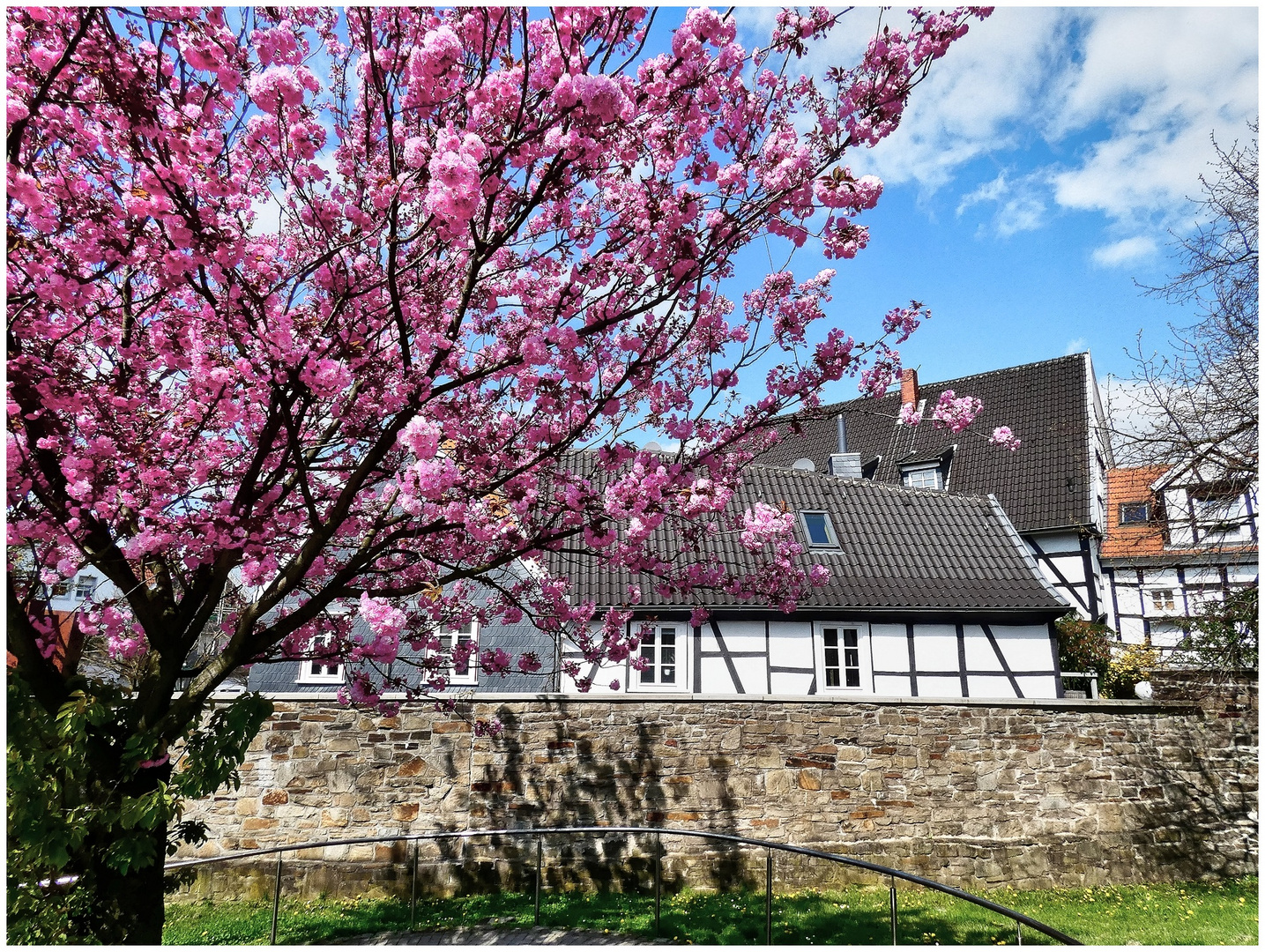 Frühling in Hattingen