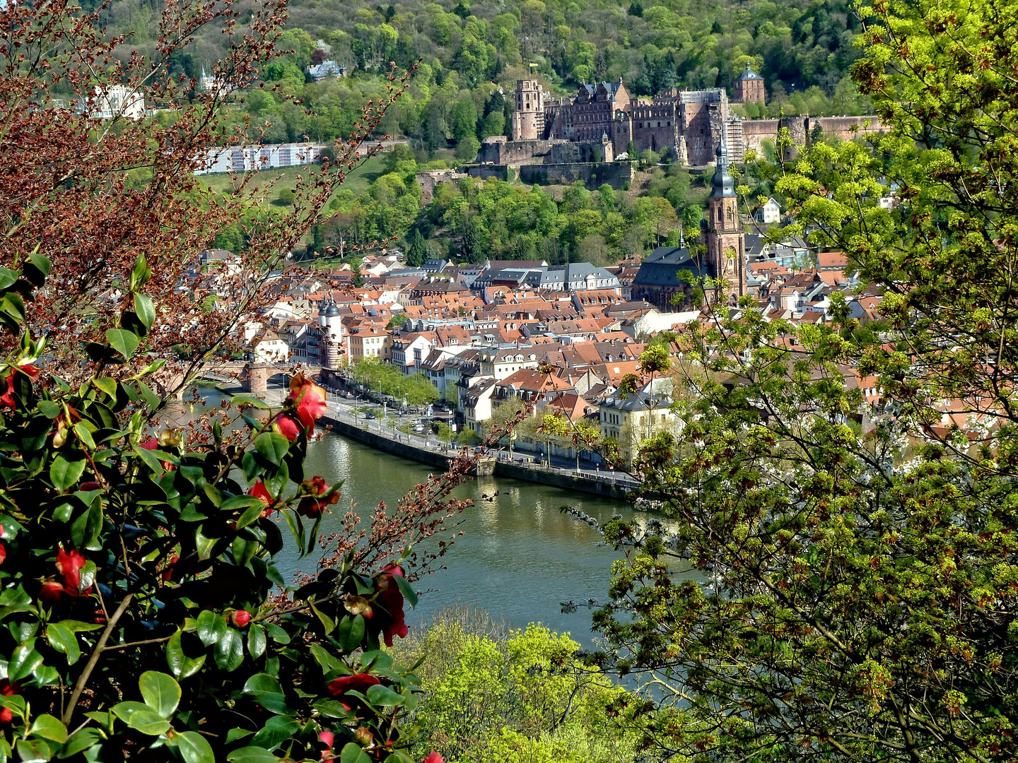 Frühling in Heidelberg