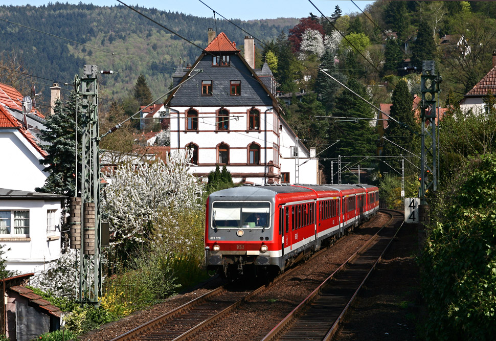 Frühling in Heidelberg