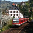 Frühling in Heidelberg