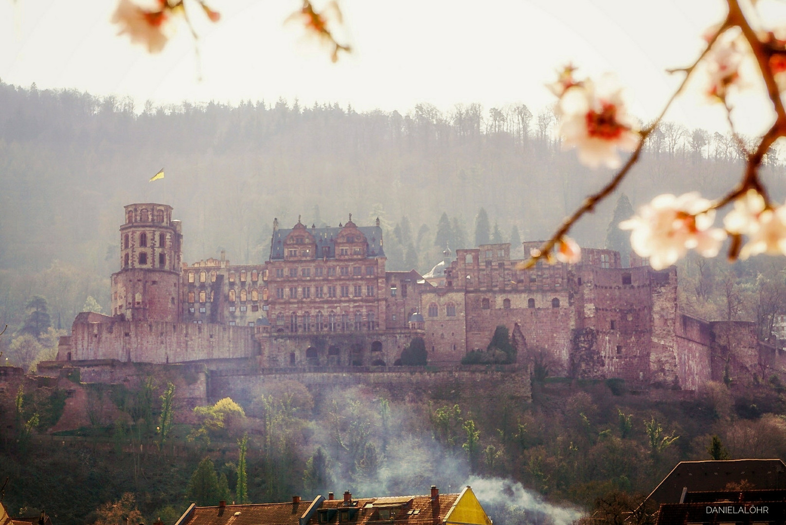 Frühling in Heidelberg 