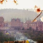 Frühling in Heidelberg 