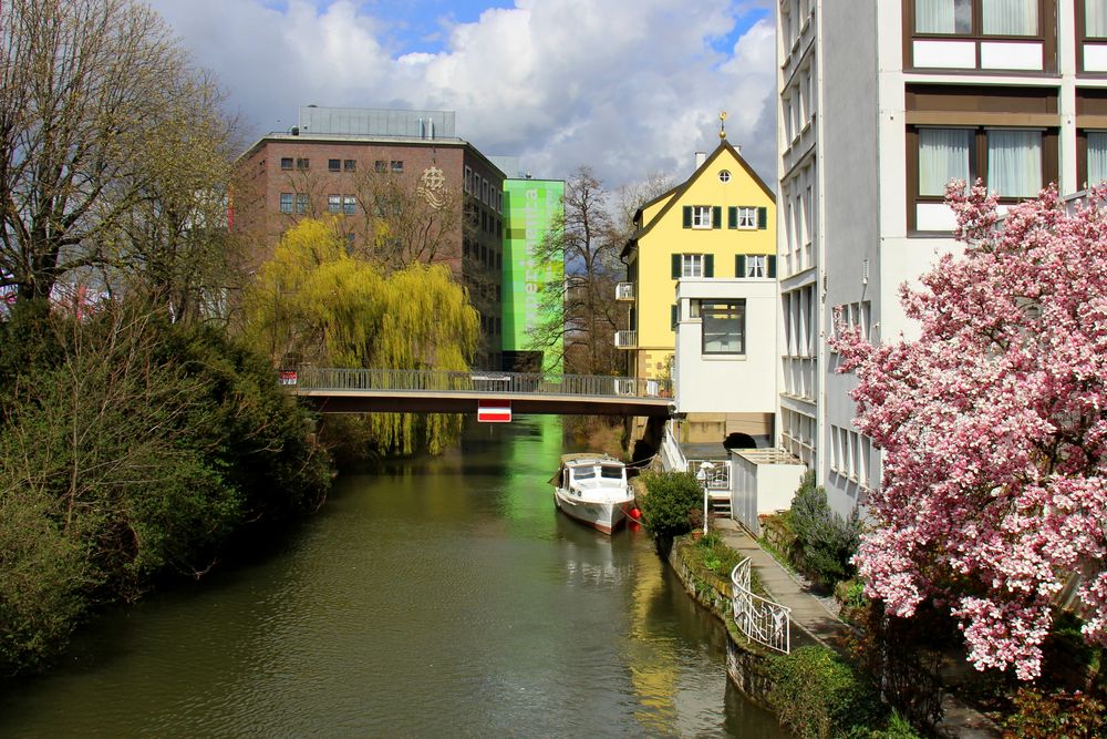 Frühling in Heilbronn (2)