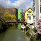 Frühling in Heilbronn (2)