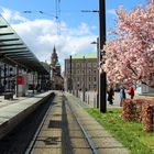 Frühling in Heilbronn