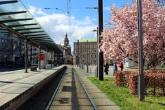 Frühling in Heilbronn