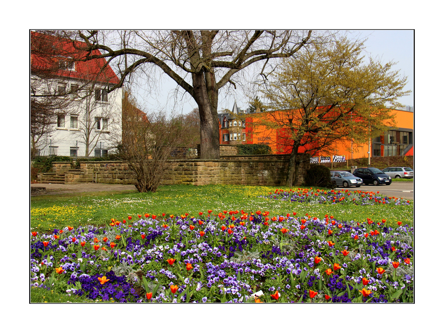 Frühling in Heilbronn Süd