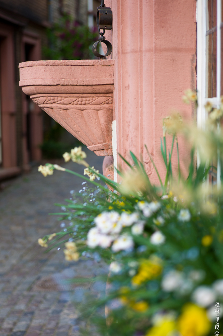 Frühling in Heppenheim