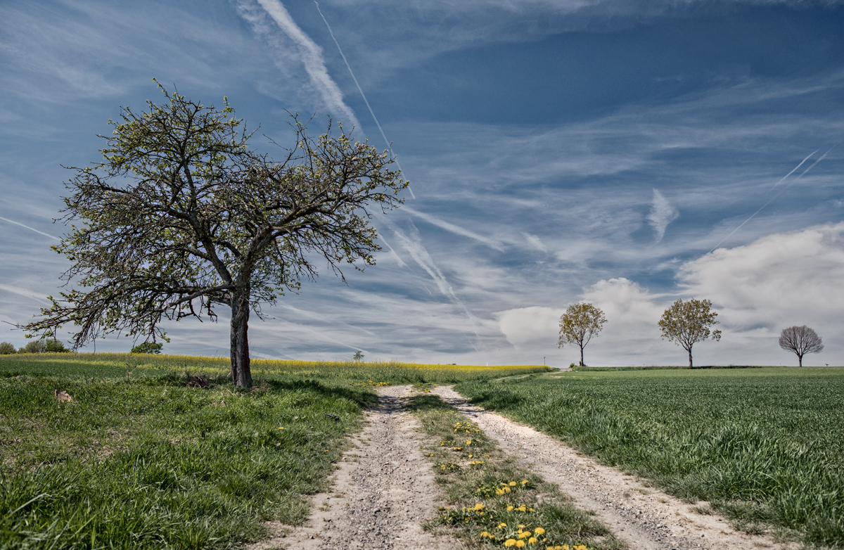 Frühling in Hessen