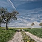 Frühling in Hessen