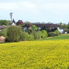Frühling in Hessen