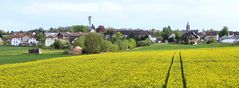 Frühling in Hessen