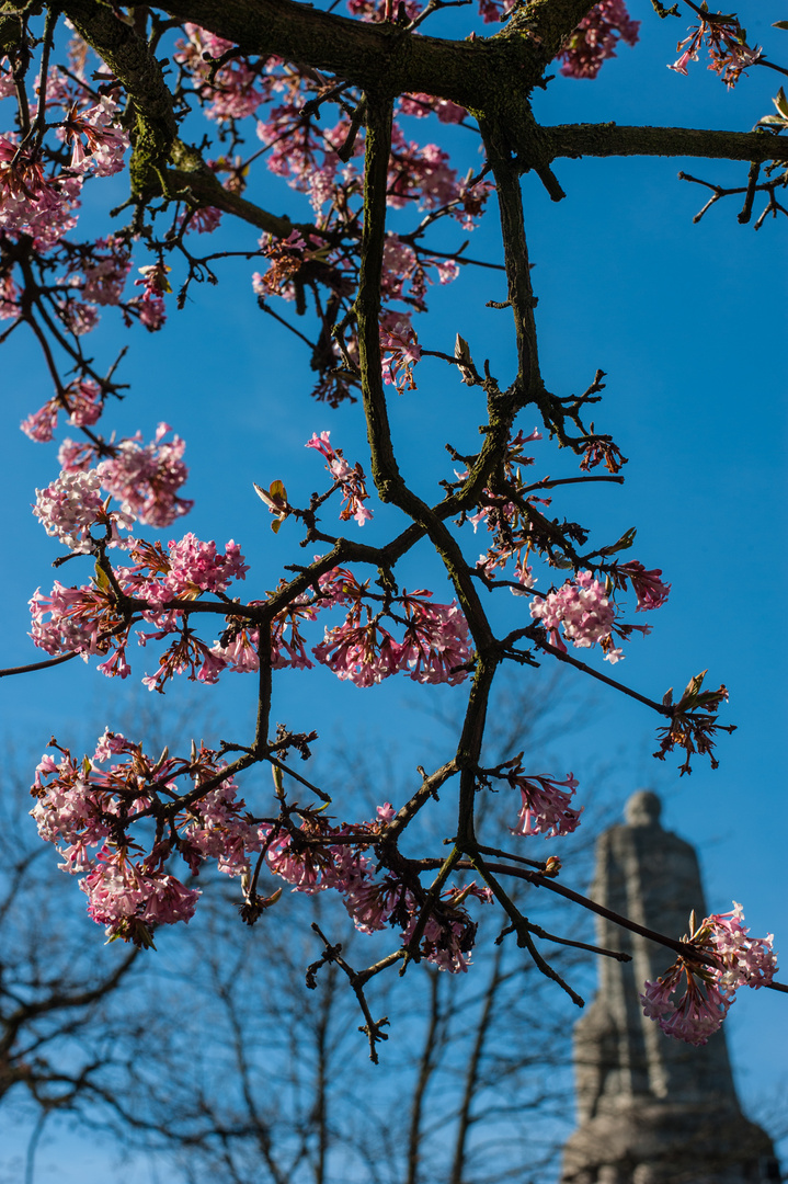 Frühling in HH