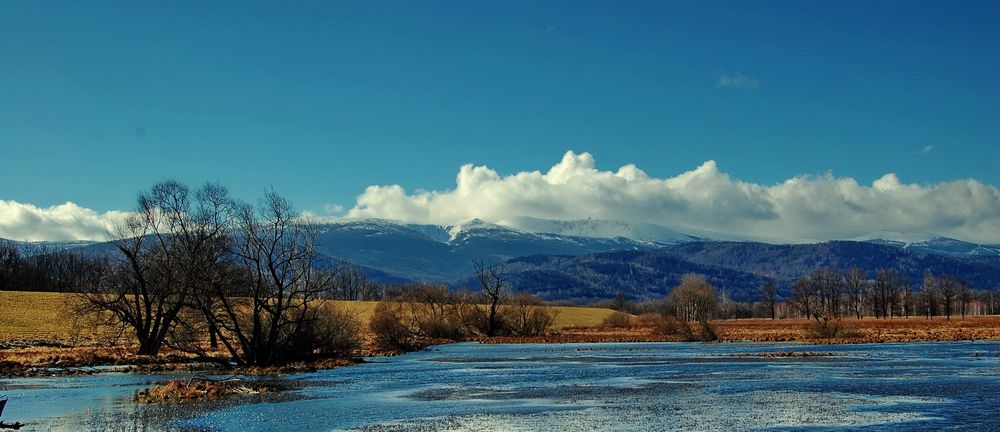 Fruehling in Hirschberger Tal