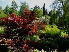 Frühling in Hof