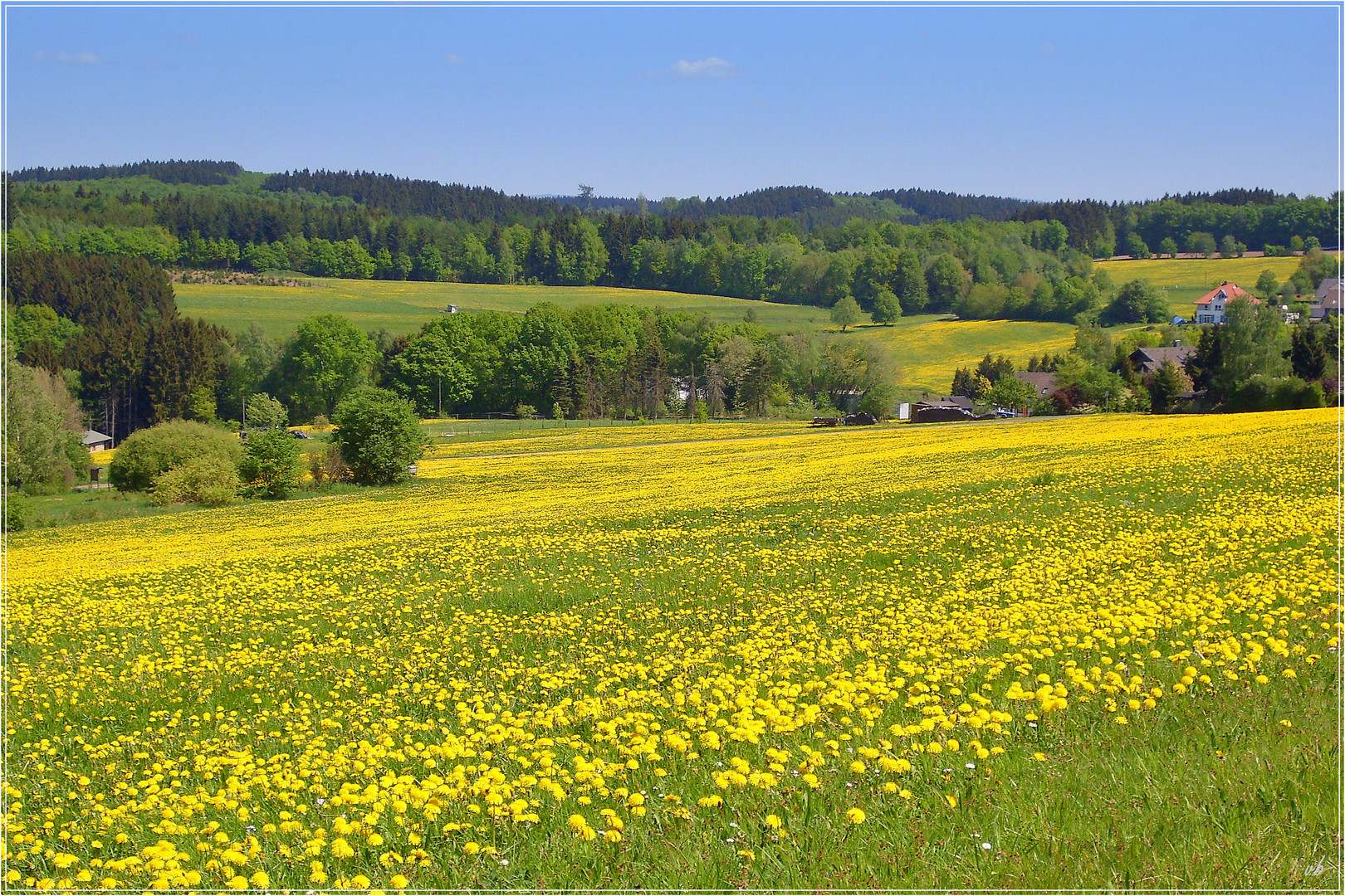 Frühling in Hohenhain