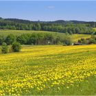 Frühling in Hohenhain