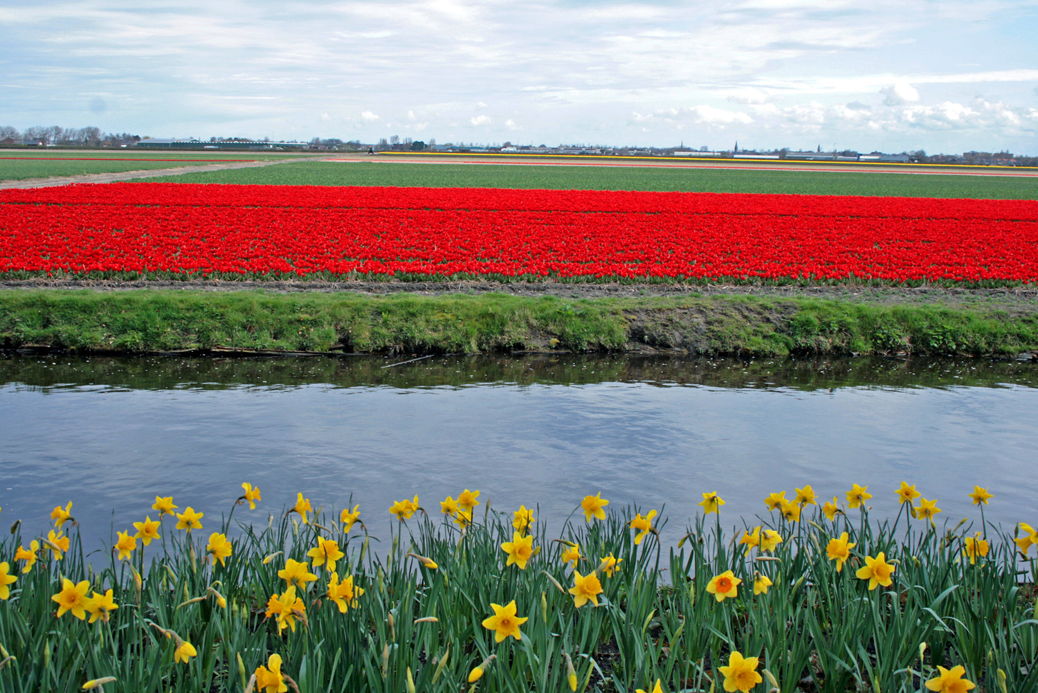 Frühling in Holland