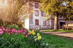 Frühling in Homberg