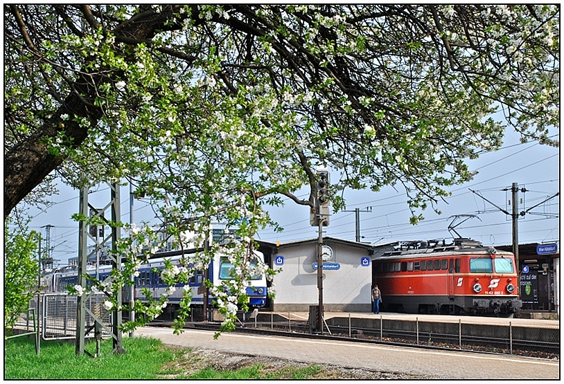 Frühling in Hütteldorf