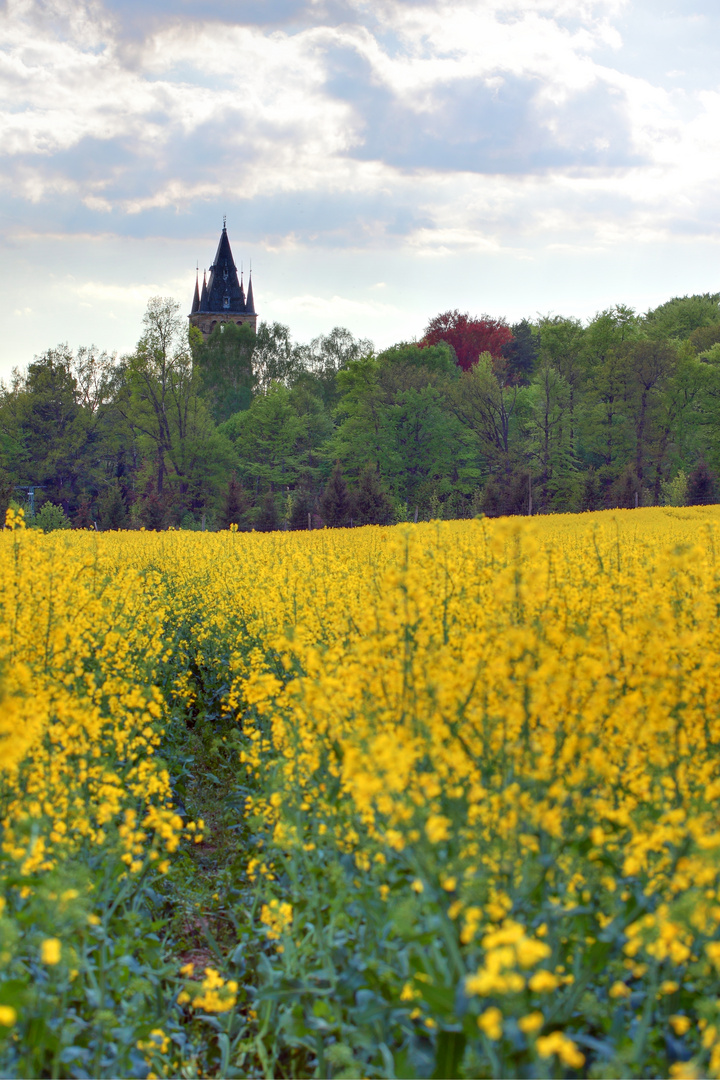 Frühling in Hummelshain