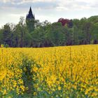 Frühling in Hummelshain