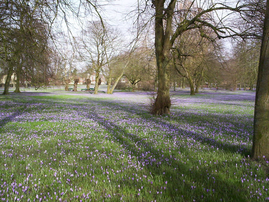 Frühling in Husum