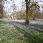 Frühling in Husum