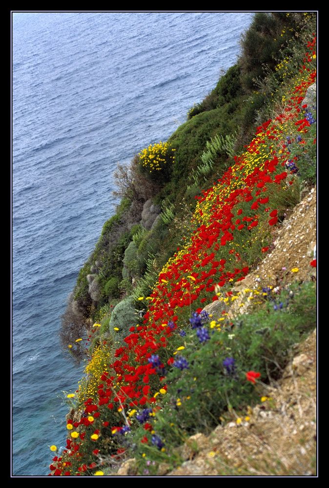 Frühling in Ikaria