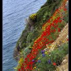 Frühling in Ikaria