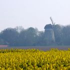 Frühling in Immerath