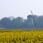 Frühling in Immerath