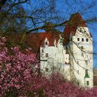 Frühling in Ingolstadt