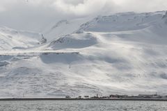 Frühling in Island