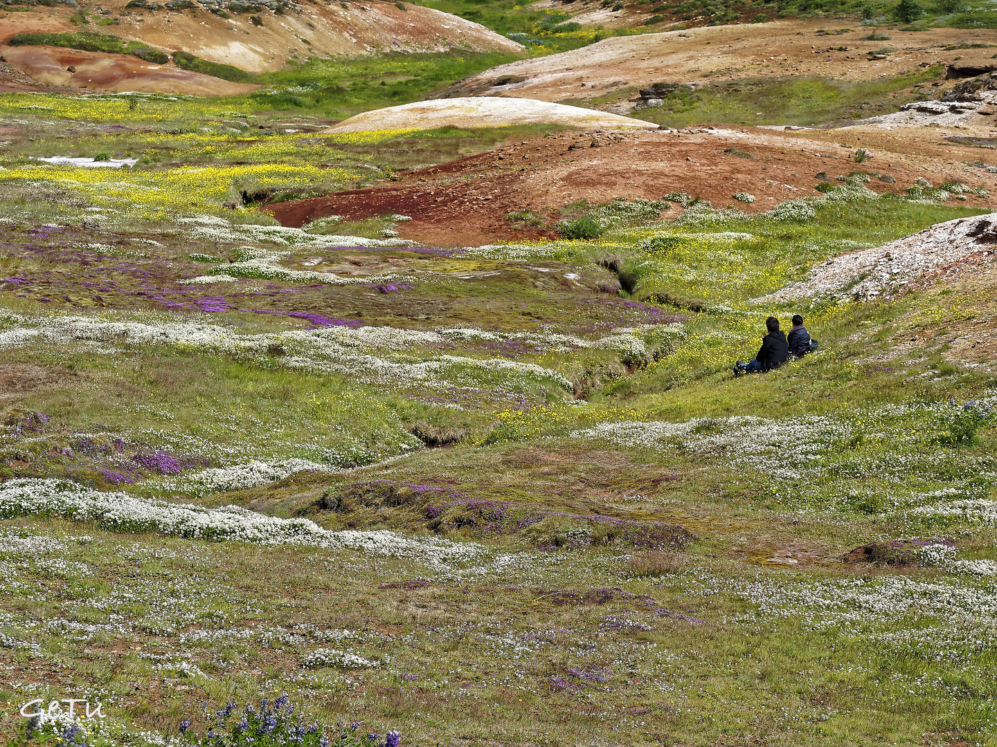 Frühling in Island