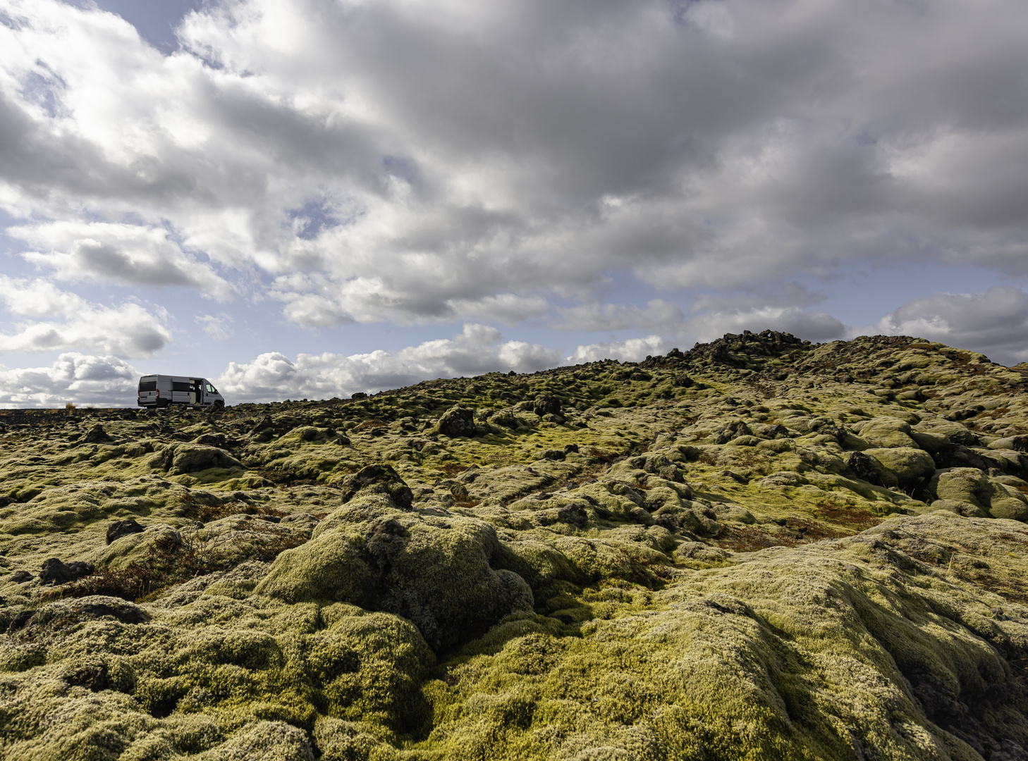 Frühling in Island