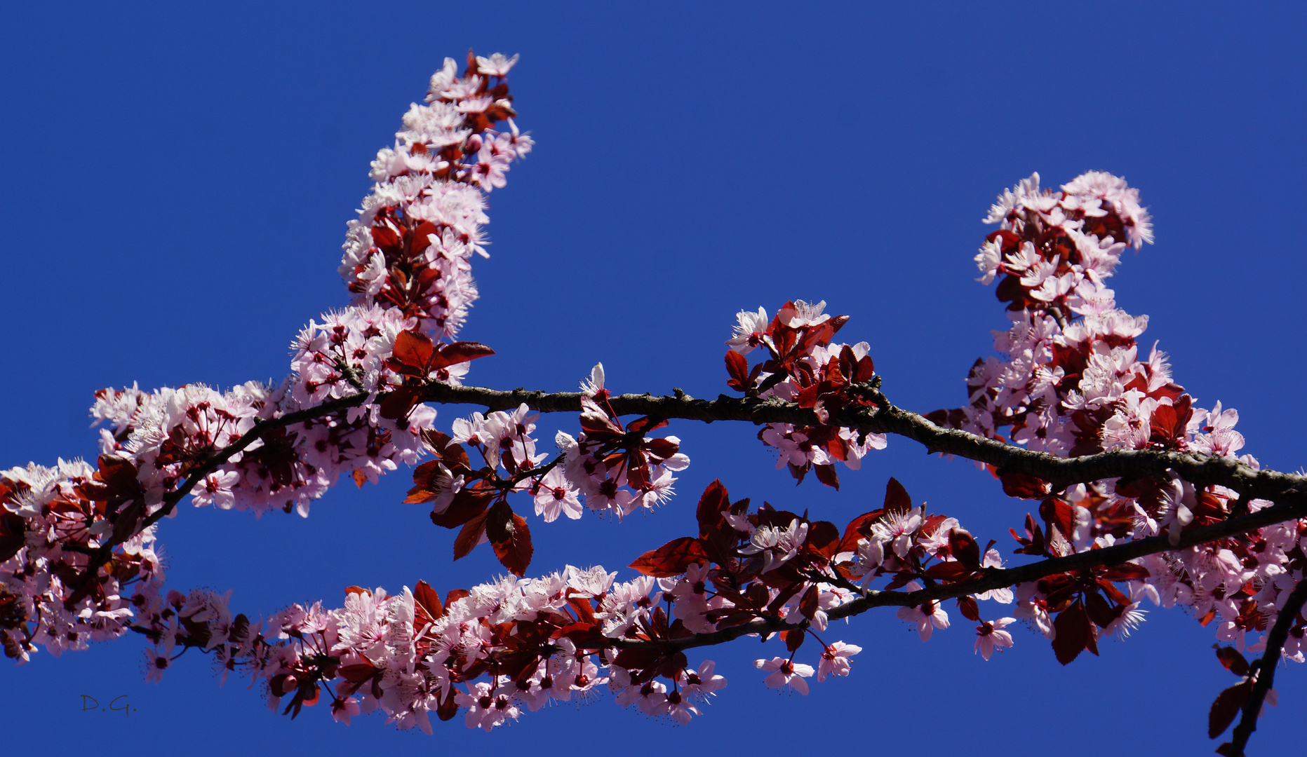 frühling in italien