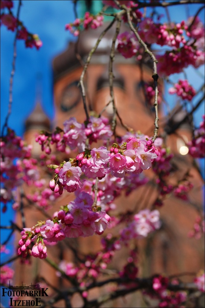 Frühling in Itzehoe