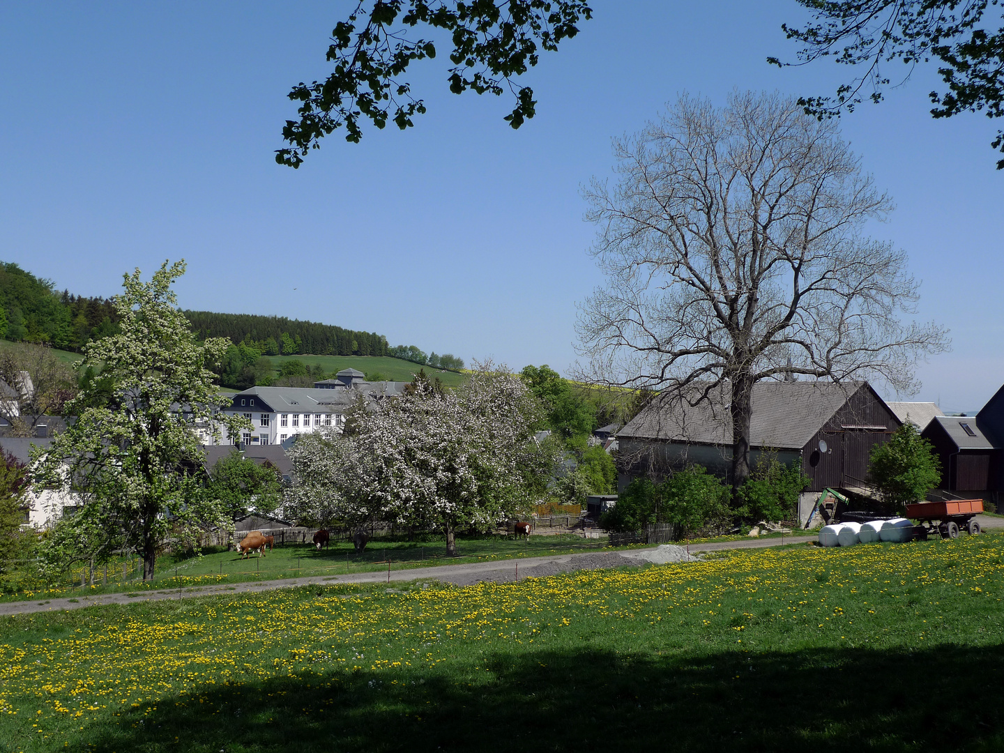 Frühling in Jahnsbach