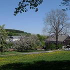 Frühling in Jahnsbach