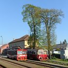 Frühling in Jesenske