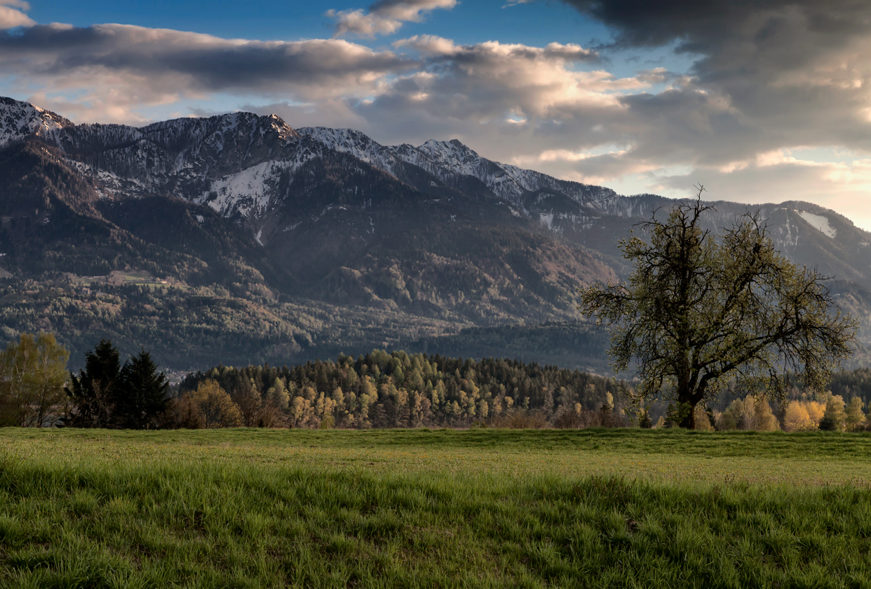 Frühling in Kärnten