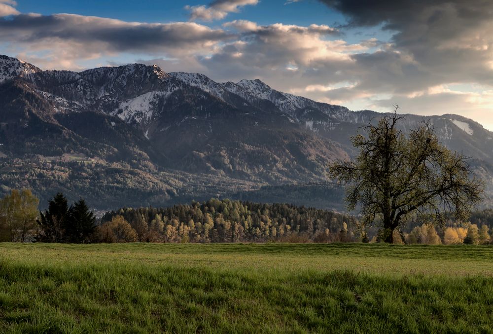 Frühling in Kärnten