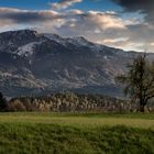 Frühling in Kärnten