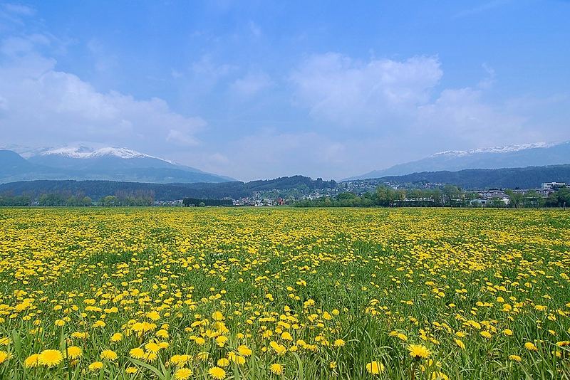 Frühling in Kärnten