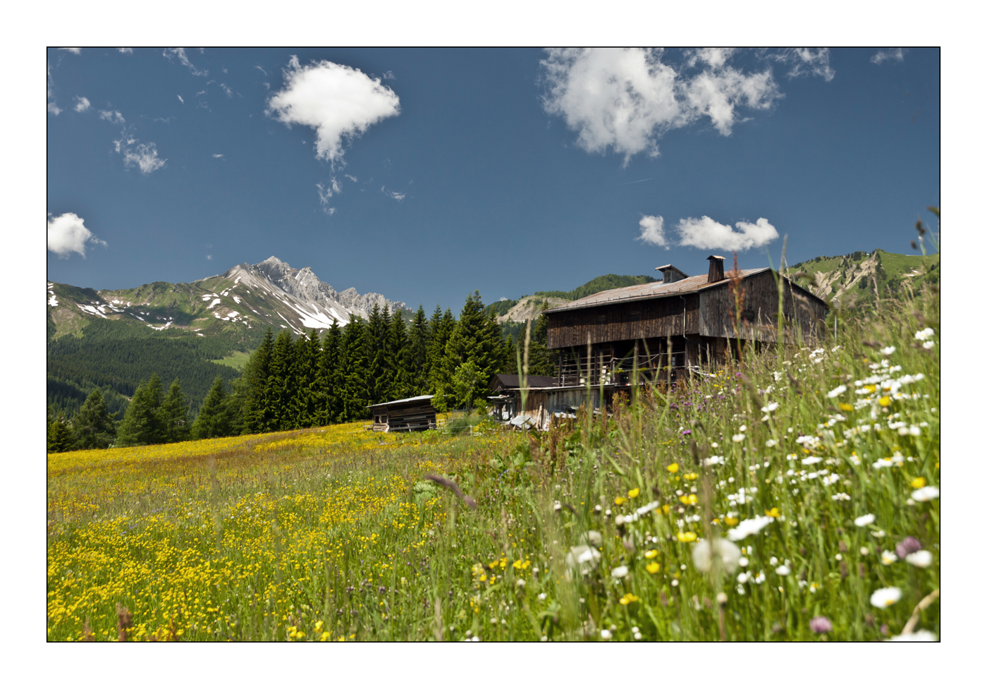 Frühling in Kärnten